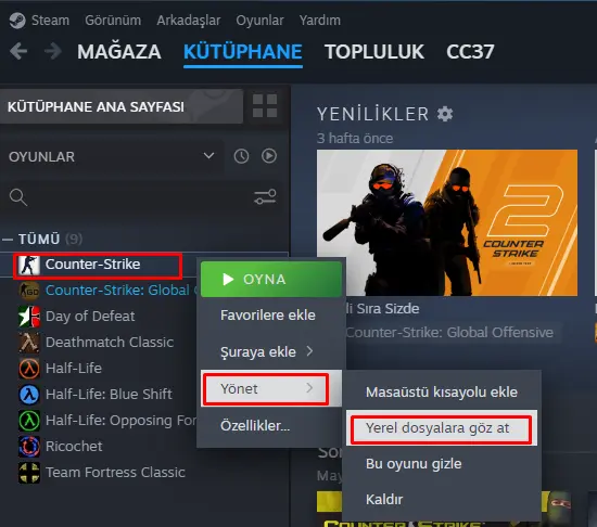Steam yerel dosyalar
