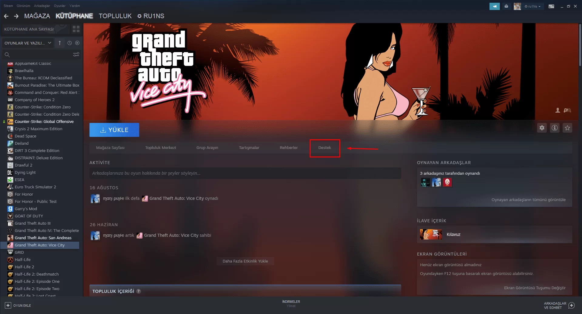 Steam kütüphanesinde oyun sayfası, sağdaki Destek bağlantısı işaretli