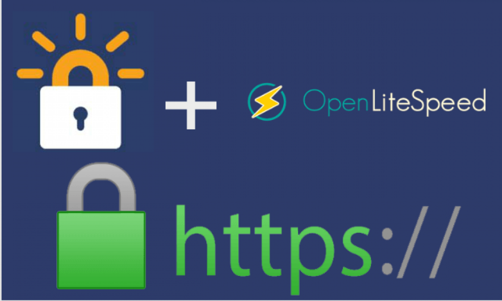 LOMP WordPress SSL kurulumu