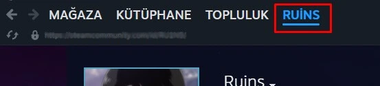 Steam profilini açın